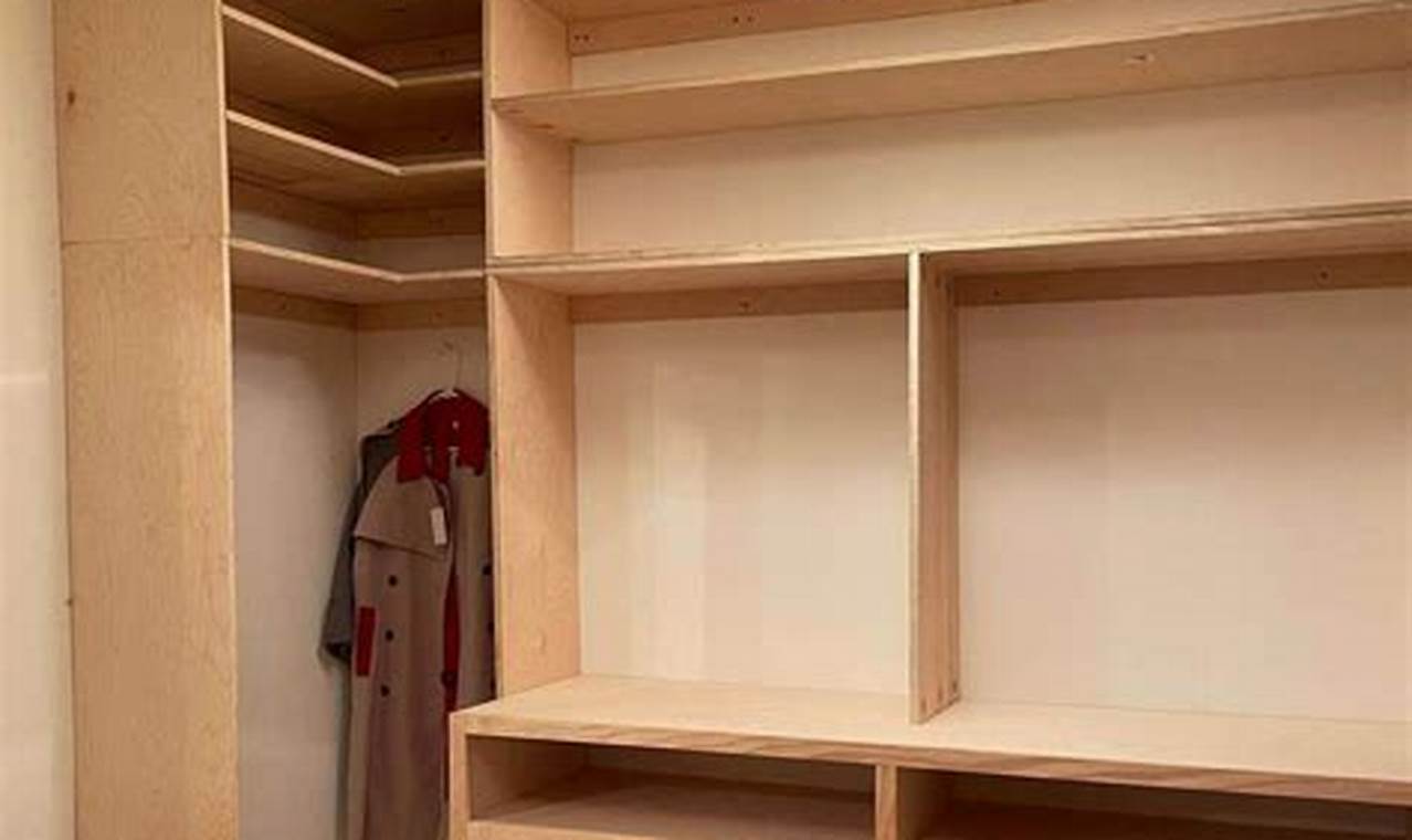 Easy DIY Built-In Closet Ideas & Projects