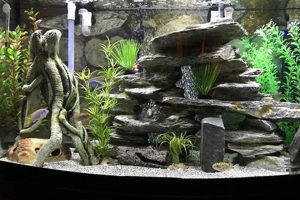 DIY Fish Tank Ornaments: Easy, Safe & Beautiful Aquarium Decor The DIY Hub: Creative Crafts, Repairs & Life Hacks DIY Fish Tank Ornaments: Easy, Safe & Beautiful Aquarium Decor | The DIY Hub: Creative Crafts, Repairs & Life Hacks