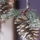 Easy Pine Cone Ornaments DIY: Holiday Craft Magic | The DIY Hub: Creative Crafts, Repairs & Life Hacks