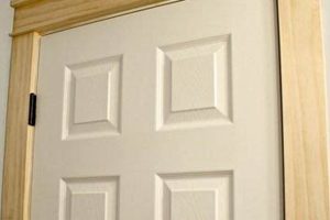 Easy Door Molding DIY: Trim Like a Pro! The DIY Hub: Creative Crafts, Repairs & Life Hacks Easy Door Molding DIY: Trim Like a Pro! | The DIY Hub: Creative Crafts, Repairs & Life Hacks