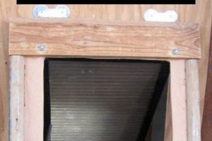 Easy DIY Dog Door: Build a Pet Door Today! The DIY Hub: Creative Crafts, Repairs & Life Hacks Easy DIY Dog Door: Build a Pet Door Today! | The DIY Hub: Creative Crafts, Repairs & Life Hacks