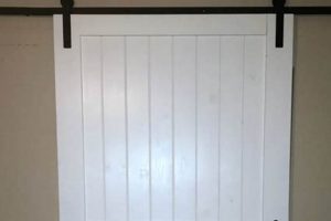 Build a Cheap DIY Barn Door: Space-Saving Style! | The DIY Hub: Creative Crafts, Repairs & Life Hacks