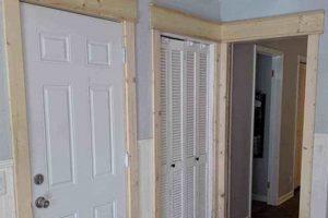 Easy DIY Door Trim Molding: Styles & Install The DIY Hub: Creative Crafts, Repairs & Life Hacks Easy DIY Door Trim Molding: Styles & Install | The DIY Hub: Creative Crafts, Repairs & Life Hacks