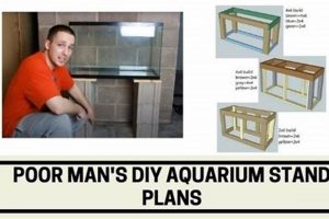 Cheap DIY Aquarium Stand Plans: Build on a Budget! The DIY Hub: Creative Crafts, Repairs & Life Hacks Cheap DIY Aquarium Stand Plans: Build on a Budget! | The DIY Hub: Creative Crafts, Repairs & Life Hacks