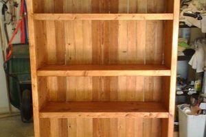 Easy DIY Bookcase Plans: Build Your Own! The DIY Hub: Creative Crafts, Repairs & Life Hacks Easy DIY Bookcase Plans: Build Your Own! | The DIY Hub: Creative Crafts, Repairs & Life Hacks