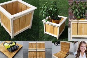 Free DIY Plans for Planter Box Projects & More! The DIY Hub: Creative Crafts, Repairs & Life Hacks Free DIY Plans for Planter Box Projects & More! | The DIY Hub: Creative Crafts, Repairs & Life Hacks