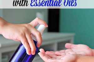 Easy DIY Hand Sanitizer Spray Recipe (Safe & Effective) The DIY Hub: Creative Crafts, Repairs & Life Hacks Easy DIY Hand Sanitizer Spray Recipe (Safe & Effective) | The DIY Hub: Creative Crafts, Repairs & Life Hacks