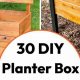 Easy DIY Flower Box Plans: Build Your Dream Garden | The DIY Hub: Creative Crafts, Repairs & Life Hacks