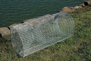 Easy DIY Wire Fish Trap Plans: [Catch More!] | The DIY Hub: Creative Crafts, Repairs & Life Hacks