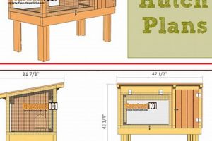 Build Your Own: DIY Rabbit Hutch Plans & Ideas The DIY Hub: Creative Crafts, Repairs & Life Hacks Build Your Own: DIY Rabbit Hutch Plans & Ideas | The DIY Hub: Creative Crafts, Repairs & Life Hacks