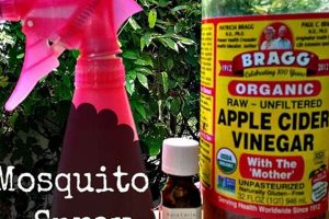 Best DIY Bug Spray for Skin: Natural & Effective Tips The DIY Hub: Creative Crafts, Repairs & Life Hacks Best DIY Bug Spray for Skin: Natural & Effective Tips | The DIY Hub: Creative Crafts, Repairs & Life Hacks