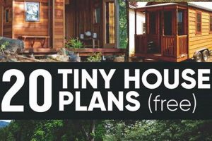 Best DIY Tiny Home Plans: Dream Home on a Budget | The DIY Hub: Creative Crafts, Repairs & Life Hacks