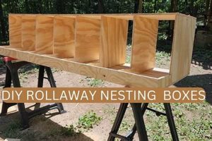 Easy DIY Roll Away Nest Box Plans: Build Yours Today! | The DIY Hub: Creative Crafts, Repairs & Life Hacks