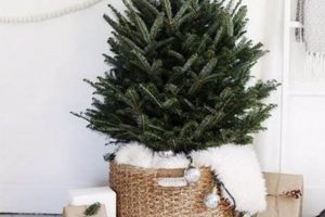 Easy DIY Christmas Tree Base Ideas: Homemade & Sturdy The DIY Hub: Creative Crafts, Repairs & Life Hacks Easy DIY Christmas Tree Base Ideas: Homemade & Sturdy | The DIY Hub: Creative Crafts, Repairs & Life Hacks