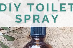 Easy DIY Toilet Spray: Natural Odor Control The DIY Hub: Creative Crafts, Repairs & Life Hacks Easy DIY Toilet Spray: Natural Odor Control | The DIY Hub: Creative Crafts, Repairs & Life Hacks