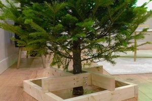 Easy DIY Christmas Tree Stand: Build Yours! The DIY Hub: Creative Crafts, Repairs & Life Hacks Easy DIY Christmas Tree Stand: Build Yours! | The DIY Hub: Creative Crafts, Repairs & Life Hacks