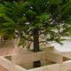 Build a Better DIY Xmas Tree Stand This Holiday | The DIY Hub: Creative Crafts, Repairs & Life Hacks