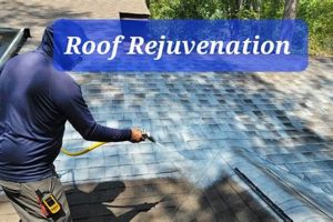 DIY Roof Rejuvenation Spray: Extend Roof Life Easily The DIY Hub: Creative Crafts, Repairs & Life Hacks DIY Roof Rejuvenation Spray: Extend Roof Life Easily | The DIY Hub: Creative Crafts, Repairs & Life Hacks