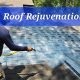 DIY Roof Rejuvenation Spray: Extend Roof Life Easily | The DIY Hub: Creative Crafts, Repairs & Life Hacks