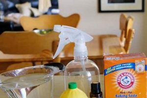 Easy DIY Deodorizer Spray: Fresh & Natural The DIY Hub: Creative Crafts, Repairs & Life Hacks Easy DIY Deodorizer Spray: Fresh & Natural | The DIY Hub: Creative Crafts, Repairs & Life Hacks