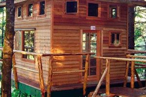 Build a Dream DIY Tree House Escape Today! The DIY Hub: Creative Crafts, Repairs & Life Hacks Build a Dream DIY Tree House Escape Today! | The DIY Hub: Creative Crafts, Repairs & Life Hacks