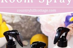 Easy DIY Room Sprays: Freshen Air the Natural Way The DIY Hub: Creative Crafts, Repairs & Life Hacks Easy DIY Room Sprays: Freshen Air the Natural Way | The DIY Hub: Creative Crafts, Repairs & Life Hacks