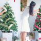 DIY Dream Tree: Decorate Your Christmas Tree Uniquely! | The DIY Hub: Creative Crafts, Repairs & Life Hacks