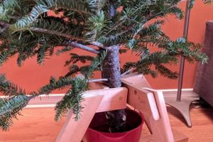 Build a DIY Tree Stand: Easy, Custom & Sturdy! The DIY Hub: Creative Crafts, Repairs & Life Hacks Build a DIY Tree Stand: Easy, Custom & Sturdy! | The DIY Hub: Creative Crafts, Repairs & Life Hacks