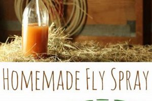 Best Fly Spray DIY Recipe: Bug-Free Home Tips The DIY Hub: Creative Crafts, Repairs & Life Hacks Best Fly Spray DIY Recipe: Bug-Free Home Tips | The DIY Hub: Creative Crafts, Repairs & Life Hacks