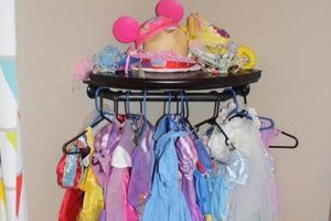 Clever DIY Dress Up Storage Ideas: Easy & Fun! The DIY Hub: Creative Crafts, Repairs & Life Hacks Clever DIY Dress Up Storage Ideas: Easy & Fun! | The DIY Hub: Creative Crafts, Repairs & Life Hacks