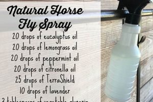 Best DIY Fly Spray for Horses: Easy Natural Recipe! The DIY Hub: Creative Crafts, Repairs & Life Hacks Best DIY Fly Spray for Horses: Easy Natural Recipe! | The DIY Hub: Creative Crafts, Repairs & Life Hacks