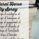 Best DIY Fly Spray for Horses: Easy Natural Recipe! | The DIY Hub: Creative Crafts, Repairs & Life Hacks