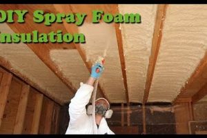 DIY Spray Foam Insulation: Easy Spray Insulation DIY Tips! The DIY Hub: Creative Crafts, Repairs & Life Hacks DIY Spray Foam Insulation: Easy Spray Insulation DIY Tips! | The DIY Hub: Creative Crafts, Repairs & Life Hacks
