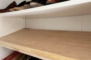 Easy Closet Shoe Storage DIY Ideas: Organize Now! The DIY Hub: Creative Crafts, Repairs & Life Hacks Easy Closet Shoe Storage DIY Ideas: Organize Now! | The DIY Hub: Creative Crafts, Repairs & Life Hacks