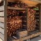 Build a DIY Firewood Storage Shed Today! Plans & Ideas | The DIY Hub: Creative Crafts, Repairs & Life Hacks