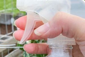 DIY Pest Control: Peppermint Oil Spray Made Easy The DIY Hub: Creative Crafts, Repairs & Life Hacks DIY Pest Control: Peppermint Oil Spray Made Easy | The DIY Hub: Creative Crafts, Repairs & Life Hacks
