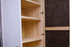 Easy DIY Storage Cabinet: Build Your Own Today! The DIY Hub: Creative Crafts, Repairs & Life Hacks Easy DIY Storage Cabinet: Build Your Own Today! | The DIY Hub: Creative Crafts, Repairs & Life Hacks