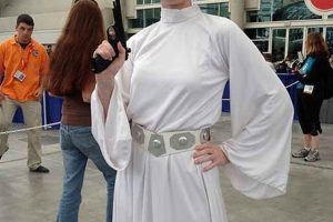 DIY Princess Leia Outfit: Easy Star Wars Costumes The DIY Hub: Creative Crafts, Repairs & Life Hacks DIY Princess Leia Outfit: Easy Star Wars Costumes | The DIY Hub: Creative Crafts, Repairs & Life Hacks