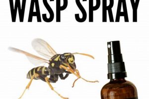 DIY Wasp Spray: Easy, Safe Solutions & Tips! The DIY Hub: Creative Crafts, Repairs & Life Hacks DIY Wasp Spray: Easy, Safe Solutions & Tips! | The DIY Hub: Creative Crafts, Repairs & Life Hacks