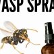 DIY Wasp Spray: Easy, Safe Solutions & Tips! | The DIY Hub: Creative Crafts, Repairs & Life Hacks