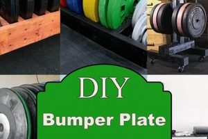 DIY Bumper Plate Storage: Easy Gym Storage Solutions | The DIY Hub: Creative Crafts, Repairs & Life Hacks