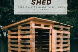 Pallet Tool Storage: DIY Shed Projects & Ideas! | The DIY Hub: Creative Crafts, Repairs & Life Hacks