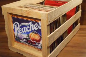 DIY LP Storage: Build Custom Record Shelves | The DIY Hub: Creative Crafts, Repairs & Life Hacks