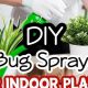 Easy DIY Bug Spray for Plants: Protect Your Garden Naturally | The DIY Hub: Creative Crafts, Repairs & Life Hacks