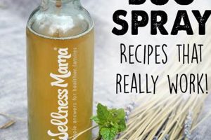 DIY: Natural Essential Oil Bug Spray Recipe Today! The DIY Hub: Creative Crafts, Repairs & Life Hacks DIY: Natural Essential Oil Bug Spray Recipe Today! | The DIY Hub: Creative Crafts, Repairs & Life Hacks