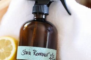 Easy DIY Stain Remover Spray for Clothes: Recipes & Tips The DIY Hub: Creative Crafts, Repairs & Life Hacks Easy DIY Stain Remover Spray for Clothes: Recipes & Tips | The DIY Hub: Creative Crafts, Repairs & Life Hacks