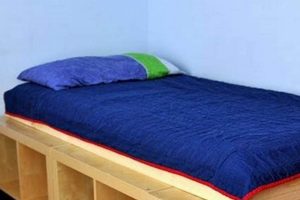 Build a DIY Bookshelf Bed Frame: Plans & Ideas The DIY Hub: Creative Crafts, Repairs & Life Hacks Build a DIY Bookshelf Bed Frame: Plans & Ideas | The DIY Hub: Creative Crafts, Repairs & Life Hacks