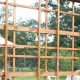 Build a Beautiful Garden: A Frame Trellis DIY Project! | The DIY Hub: Creative Crafts, Repairs & Life Hacks