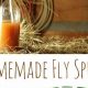 Easy DIY Fly Spray: Natural & Effective | The DIY Hub: Creative Crafts, Repairs & Life Hacks