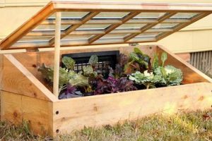 Easy DIY Cold Frame Plans: Build Your Own Frame The DIY Hub: Creative Crafts, Repairs & Life Hacks Easy DIY Cold Frame Plans: Build Your Own Frame | The DIY Hub: Creative Crafts, Repairs & Life Hacks
